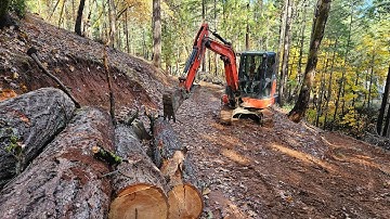 Danger tree and rock cutting chainsaw with the Kubota KX 040 4 excavator