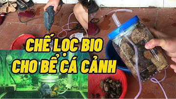 Chế lọc Bio cho bể cá cảnh | Diy Bio effervescent for aquariums