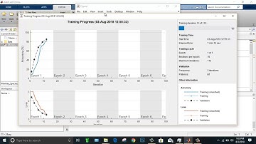 MATLABSolutions || Classification of Monkey species using deep learning with MATLAB.