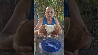 Amazon Fruits - Episode 2 l Cupuaçu