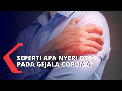 Musim pancaroba dapat mempertinggi sejumlah penyakit, salah satunya yang ditularkan melalui nyamuk. . 