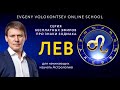 ЛЕВ-про плюсы и минусы / Про самый большой страх Львов / Евгений Волоконцев