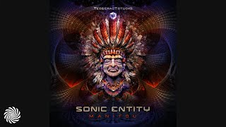 Sonic Entity - Manitou