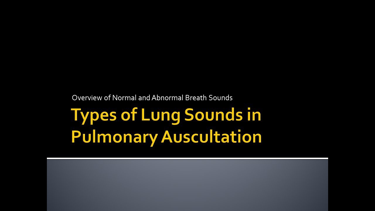 Types of Lung Sounds in Pulmonary Auscultation - YouTube