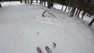 Barksville Glades at Attitash Mountain Resort
