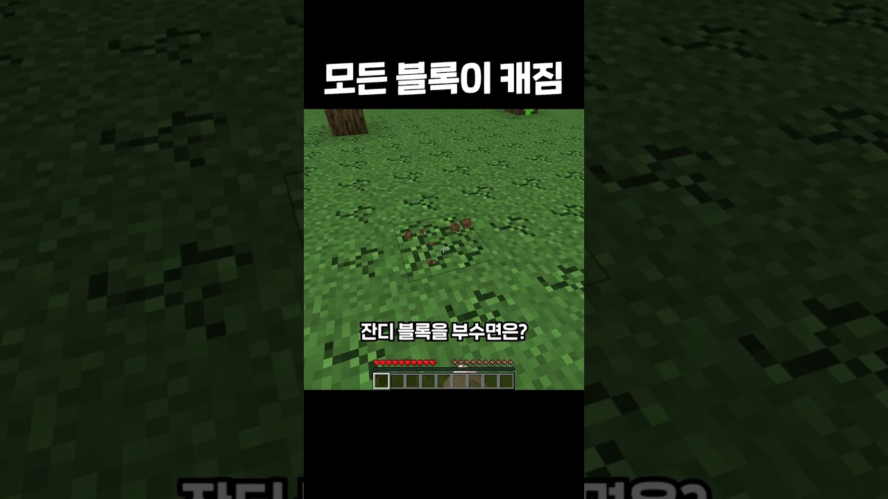 모든 블록이 캐짐