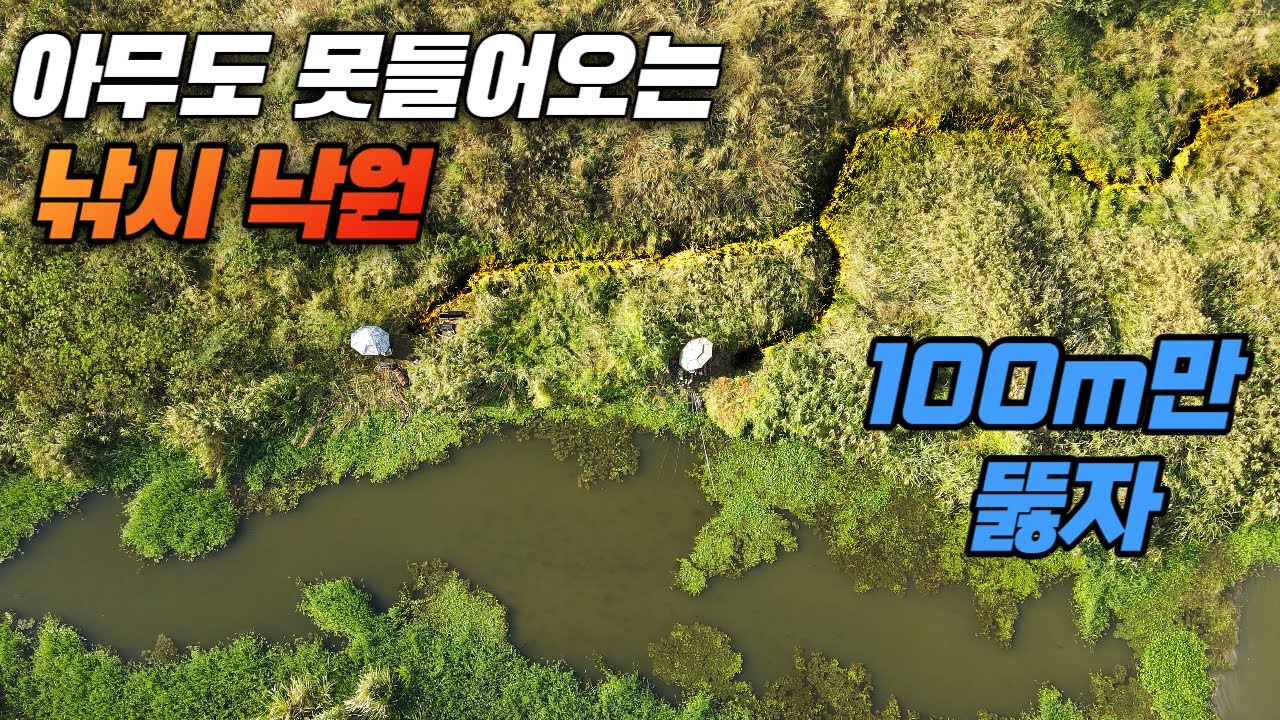아무도 못 들어가는 험지 100m 뚫고 낚시해보았다