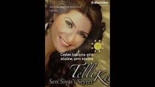 Telli Kılıç - Sen Sivas`ı Seyret - Seslendirme Bana Aittir 