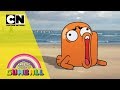【ショート】「おかしなガムボール」#68-2僕らが家族になったワケ パート２
