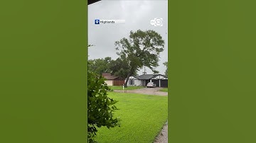 Video captures a falling tree in Highlands, Texas.