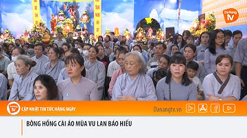 BÔNG HỒNG CÀI ÁO MÙA VU LAN BÁO HIẾU