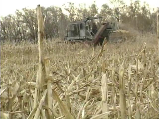 Алабаймен және қыздармен жыныстық қатынас Ыстық сәбилердің тегін жалаңаш порно видеолары