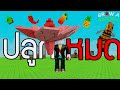 ปลูกผักชิวๆกับเกมโรบูด!! | Grow a Graden Roblox
