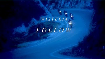 Wisteria // Follow