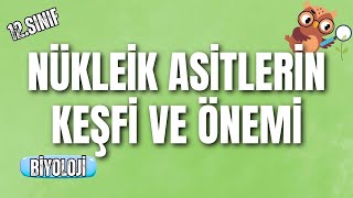 12.Sınıf Biyoloji Nükleik Asitlerin Keşfi Ve Önemi