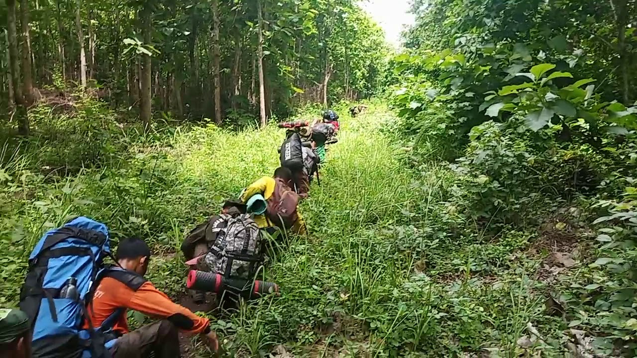 Brigade taruna rimba saka wanabakti jatim(15) - YouTube