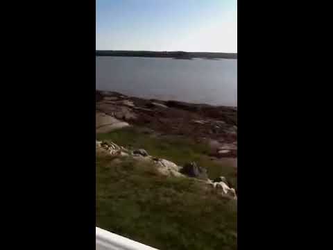 Bar island - YouTube