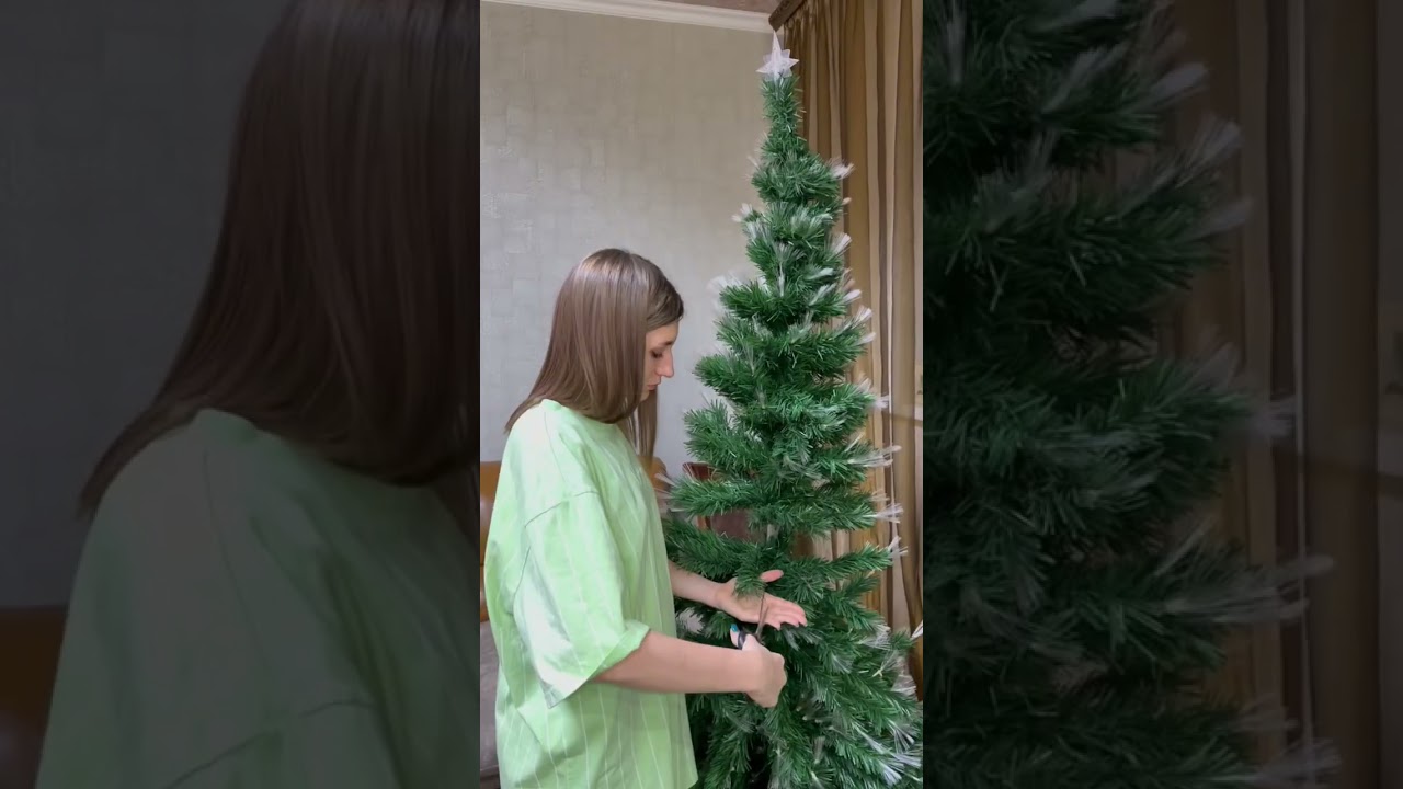 Как сделать так, чтобы с живой ёлки не осыпались иголки?