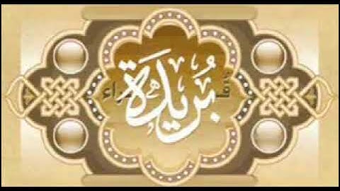 سورة البقرة بصوت القارئ ماجد العقل