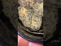 Real Moonrocks Exotic Moonrock Herblife Reels Shorts Subscribe mp3