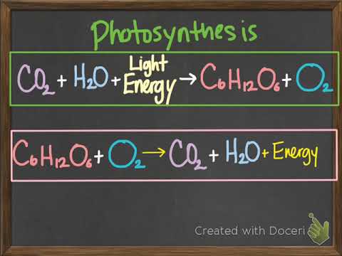 bio photosynthesis & chemosynthesis