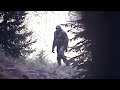 The Clearest Bigfoot Photograph In Existence Better Than The Patty Film