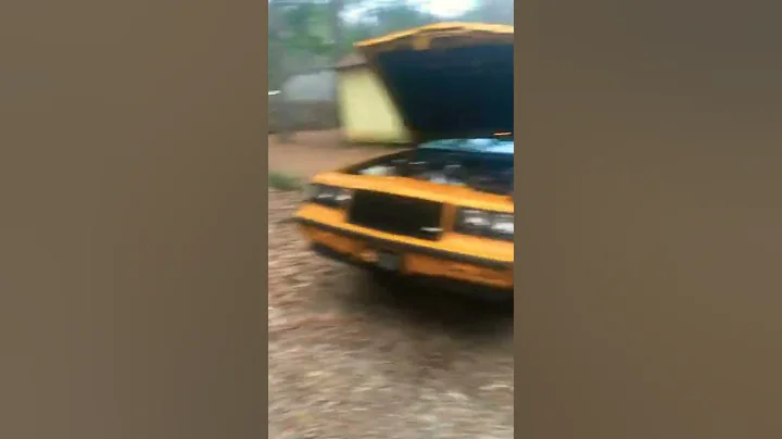 Watch the video about Siamese Buick Grand Nationals #buick #grandnational #big #turbo