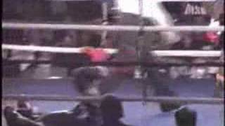 &#39;Sugar&#39; Shane Mosley vs. Michael Smith - KO