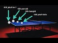 Perbedaan teknik gaya tenis meja China vs Eropa