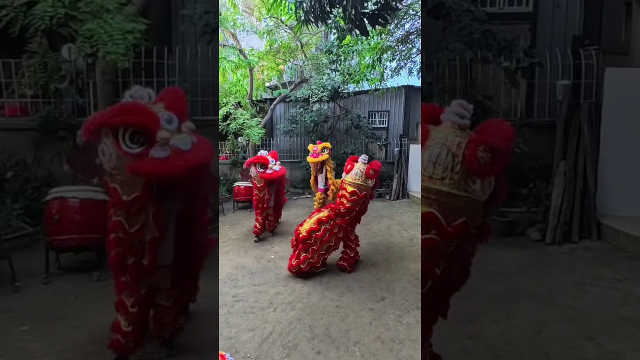 1150211善美真華德福實驗教育機構己亥班幼兒園舞龍舞獅