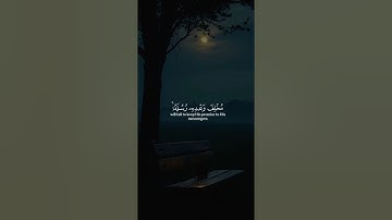 اكتب شيء تؤجر عليه 😴💚 قران كريم | عبد الرحمن مسعد