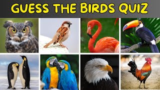 Guess The Birds Quiz | Birds Quiz screenshot 5