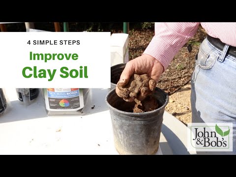 How To Amend Clay Soil (Without Tilling) | 4 SIMPLE STEPS!