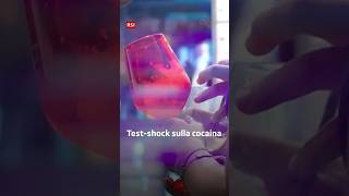 Cocaina in Ticino: il test-shock di Patti Chiari | RSI