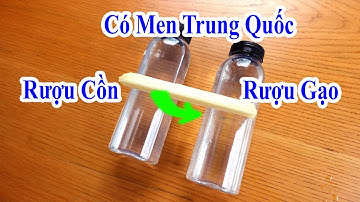 đừng uống rượu nữa nếu bạn không biết được tuyệt chiêu phân biệt rượu cồn với rượu gạo này