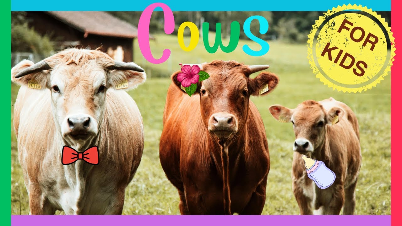 КОРОВЫ для детей🐮 Увлекательные факты о телятах для малышей🐄 Развивающие видео для детей