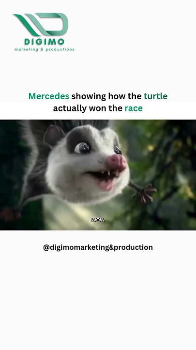 Finally, the true story of how the turtle won? 😂