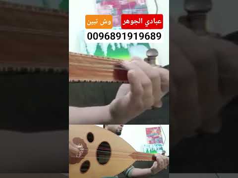 عبادي الجوهر وش تبين للتعليم اونلاين او طلب نوتات مع الشرح 0096891919689 عود 