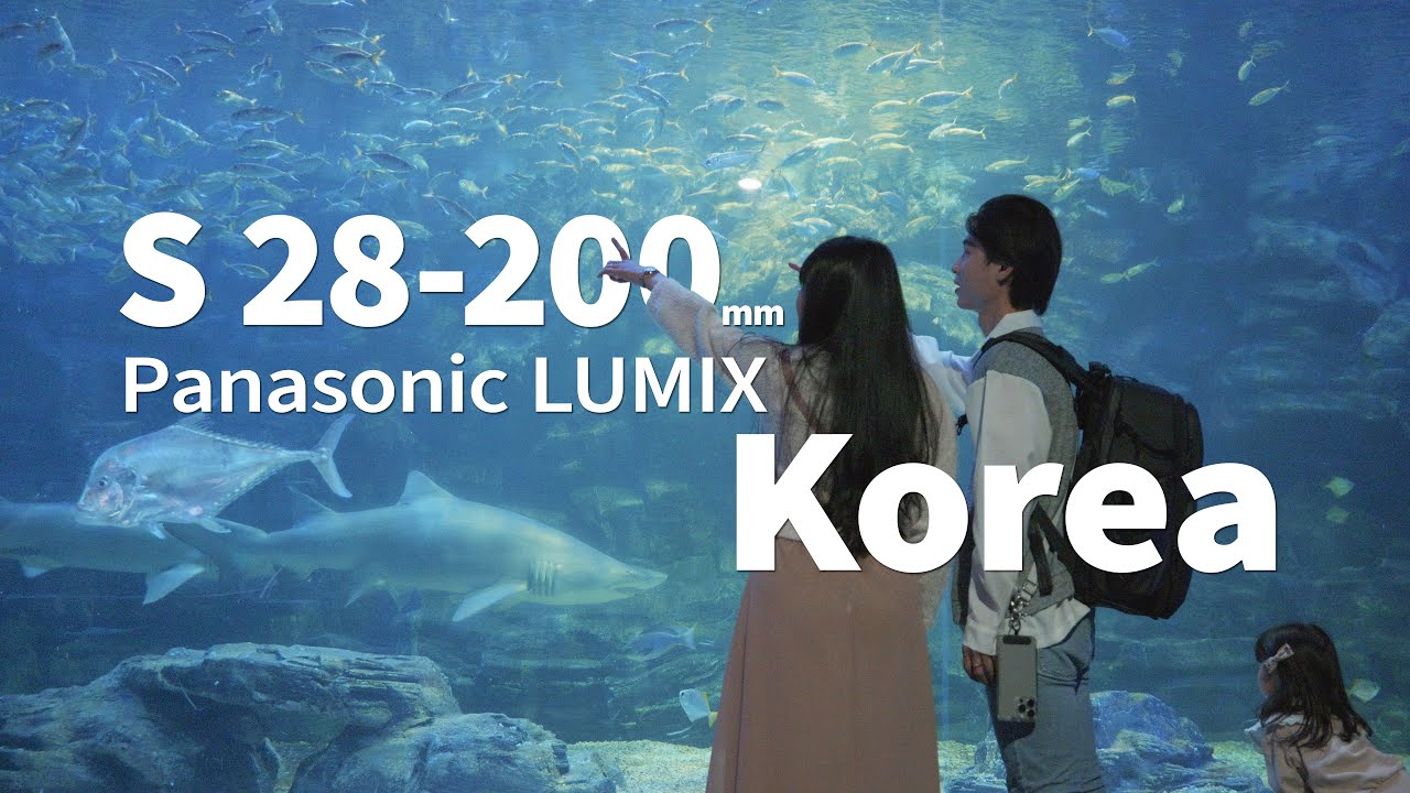 Panasonic LUMIX S28-200mm｜韓國 Korea  @YiHsuanLi @PanasonicLumixVideo @PanasonicTaiwan ​