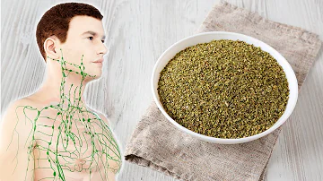 Kann man die Stiele von Oregano Essen?