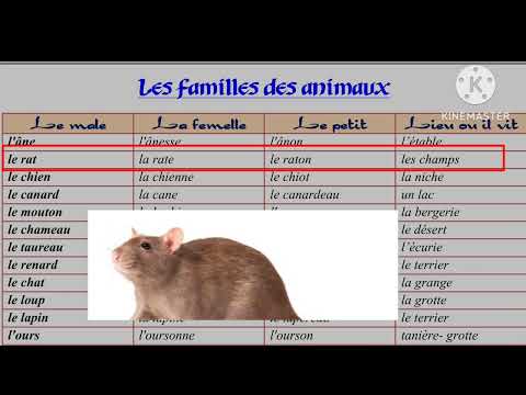 1ère année collège parcours les animaux,le mâle, la femelle,le petit, leur cris et le lieu où il vit