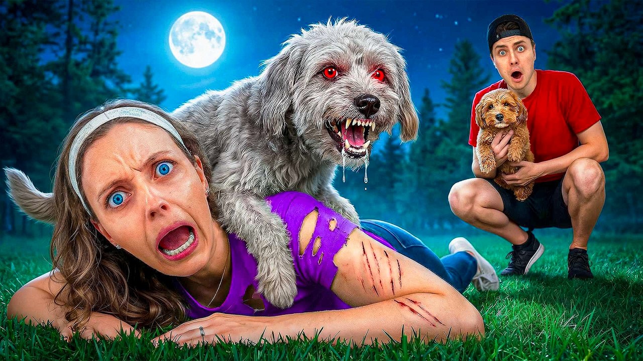 My DOG has an EVIL TWIN…