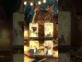 Quick Tarot Reading Tips: Learn in 1 Minute #tarot #cat #tarotreading #astrology #love  #tarottips