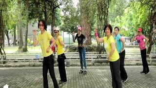 To Love Somebody (Remix) - Line Dance (Beginner)(Penny Tan &amp; Shirley Bang)
