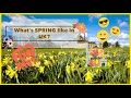 FILIPINOS LIVING IN THE UK | Spring Season 🌻🌷🌺 | How we spend our Day Off | Jan Vergel YOLO