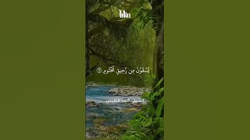 ان الابرار لفي نعيم على الارآئك ينظرون | القارئ أحمد النفيس