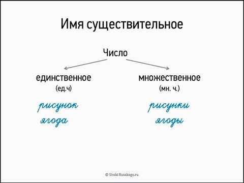 Имя существительное (5 класс, видеоурок-презентация)