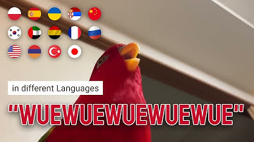 "Wuewuewuewuewue" in different languages meme