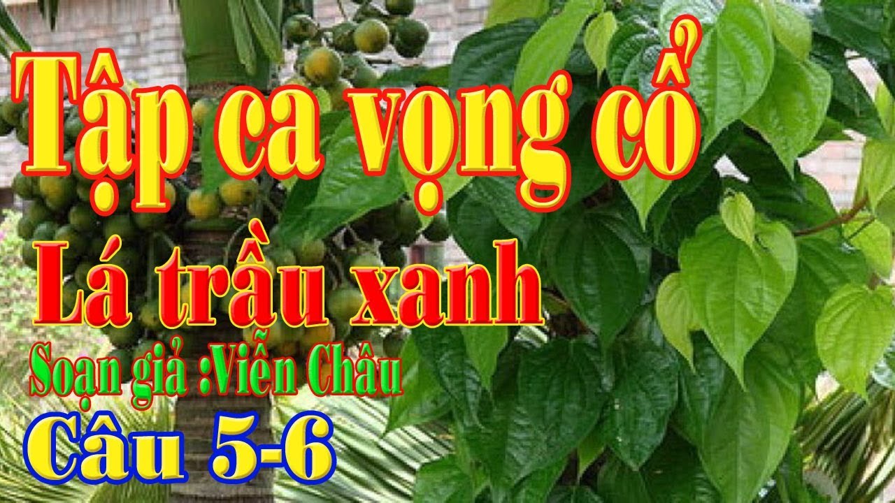 Tập ca vọng cổ Lá tầu xanh cau 5-6 - youtube