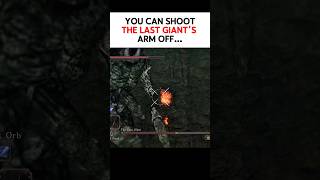 DS1 has tail cuts, DS2 has limb removal #darksouls2